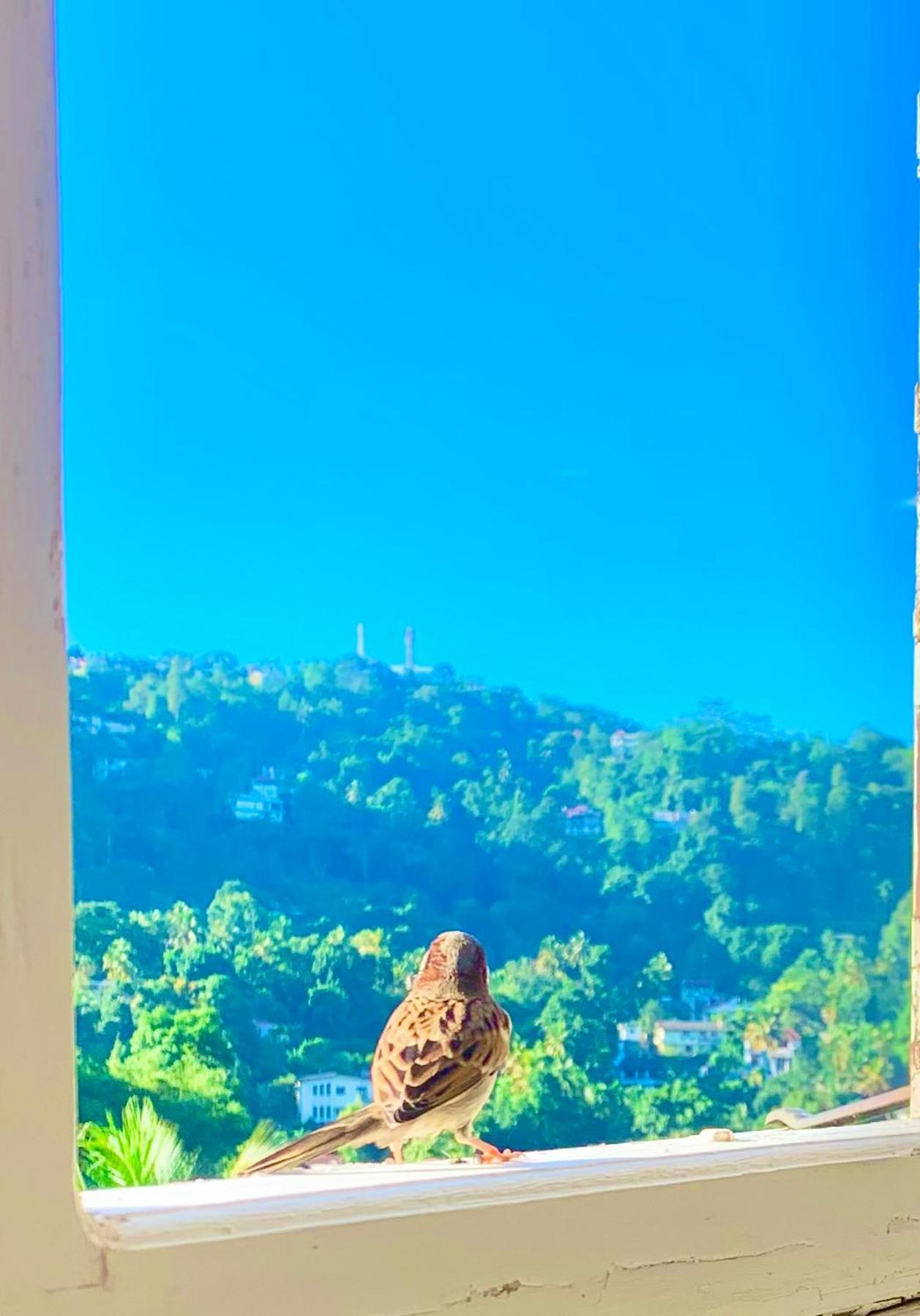 Gangula Villa Kandy Luaran gambar